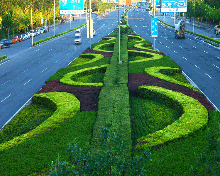 车载式绿篱修剪机